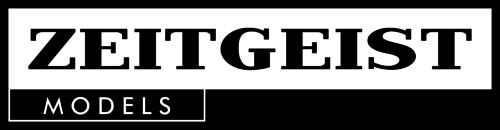 Zeitgeist_logo_V1_schwarz